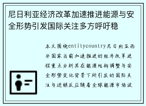 尼日利亚经济改革加速推进能源与安全形势引发国际关注多方呼吁稳